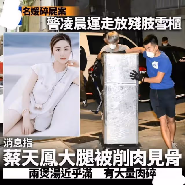 名媛蔡天鳳遭碎屍最新後續：前夫落網，想偷渡出境，霸占上億資產