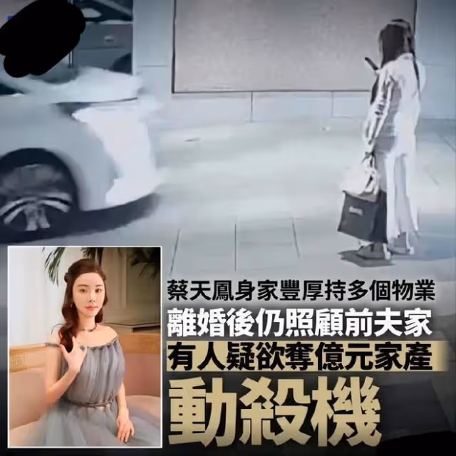 名媛蔡天鳳遭碎屍最新後續：前夫落網，想偷渡出境，霸占上億資產