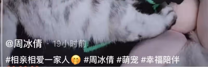 周冰倩曬兒子帥照！產後遭丈夫無情拋棄，53歲身材勻稱似少女