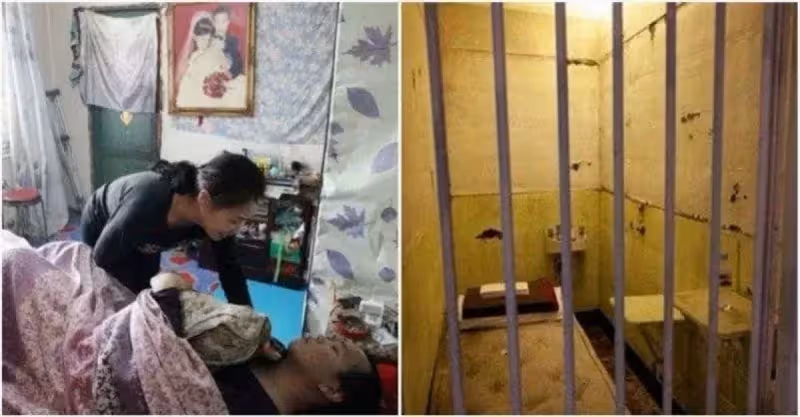 我癱瘓在床後，老婆八年如一日的照顧我，剛能走路，我就把她送進了監獄