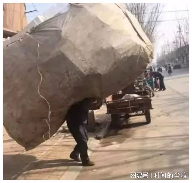 天問！王艷的無欲無求刺痛多少國人神經，活著已經讓我拼盡全力！