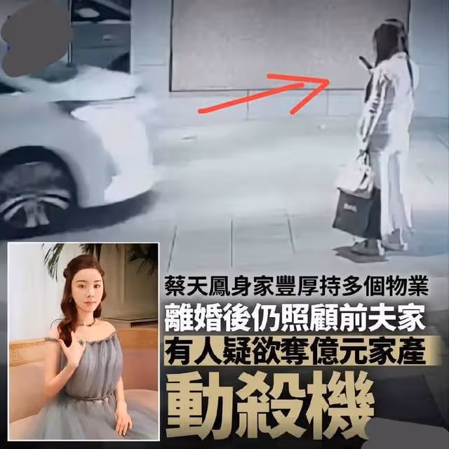 香港名媛碎屍案最新進展：兇案主謀是前夫父親，利用孩子誘騙母親