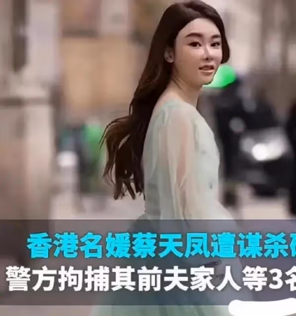 警方披露蔡天鳳烹屍案最新細節：前夫上車打昏蔡天鳳後，親自烹屍