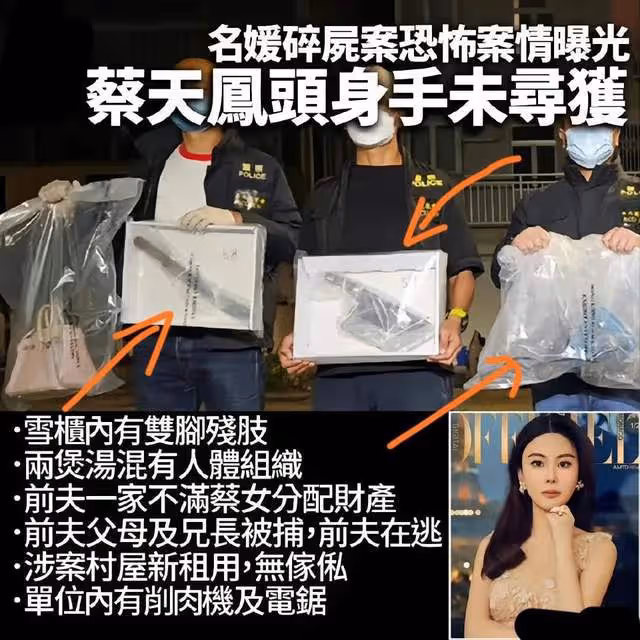 蔡天鳳現任富豪老公承諾會照顧另外倆孩，愛妻被烹屍，他心痛不已