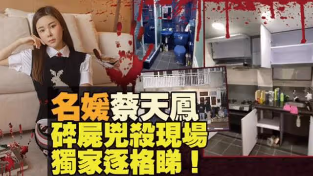 名媛蔡天鳳碎屍現場曝光，前夫被抓後生病就醫，頭顱殘肢仍未尋獲