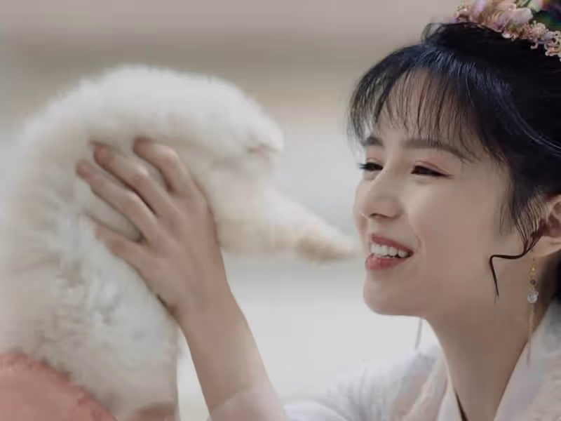 《星落凝成糖》:帝嵐絕的秘密曝光!沉淵族必敗無疑