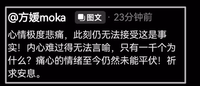 方媛首度發聲！閨蜜蔡天鳳顱骨找到，她悲痛回應，精神疑似已崩潰