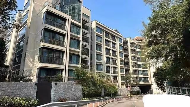 蔡天鳳烹屍案新嫌疑人落網，系前公公的情婦，目前被抓的人都裝傻