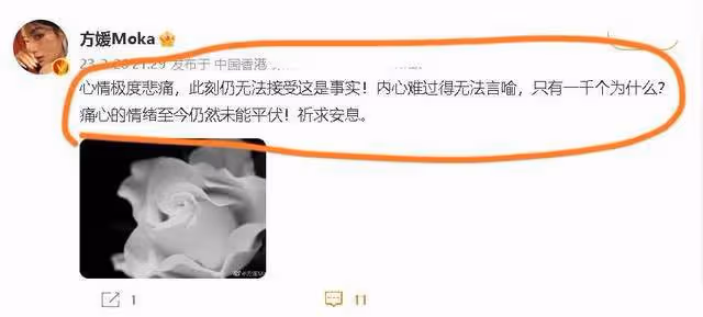 蔡天鳳烹屍案新嫌疑人落網，系前公公的情婦，目前被抓的人都裝傻