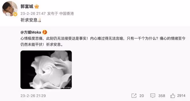 蔡天鳳碎屍案新進展！前公公按摩女情婦也被捕，涉嫌協助罪犯作案