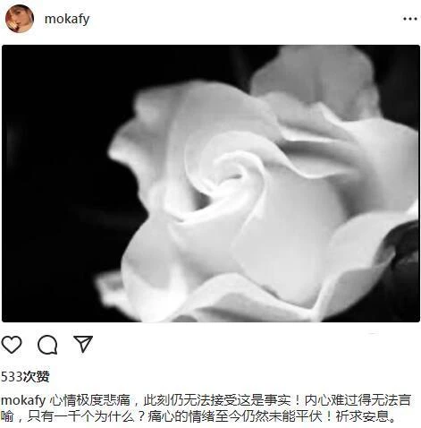 媛蔡天鳳被煲青紅蘿蔔人頭湯，閨蜜方媛發文悲痛悼念：極度悲痛
