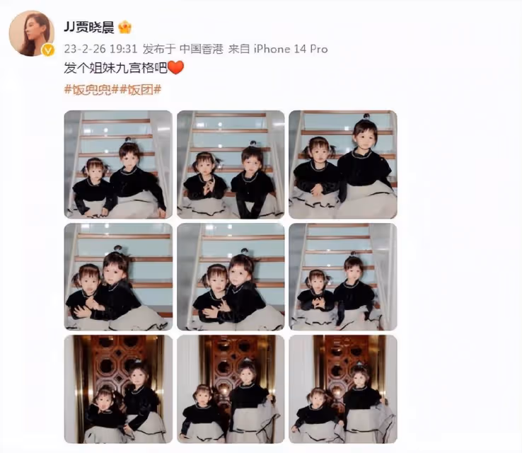 樊少皇嬌妻曬倆女兒萌照,飯兜飯糰穿公主裙同框,顏值差距明顯