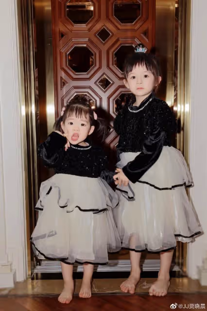 樊少皇嬌妻曬倆女兒萌照,飯兜飯糰穿公主裙同框,顏值差距明顯