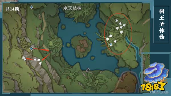 原神樹王聖體菇全採集圖示位置一覽 樹王聖體菇採集路線圖大全