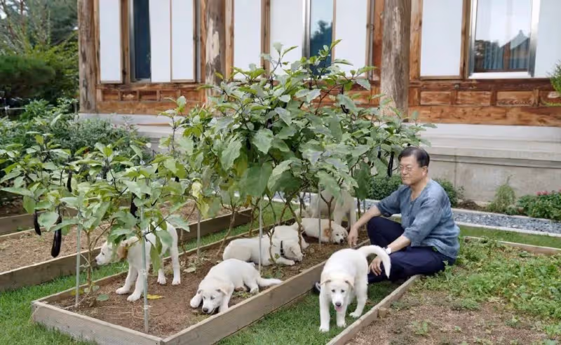 卸任後的文在寅:頭髮稀疏花白,坐在路邊吃泡麵,仿佛老了20歲