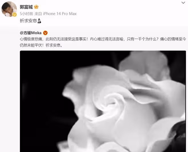蔡天鳳碎屍案開庭:鄺家人面色平靜,曾拒不提供屍體組織位置