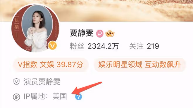 賈靜雯到美國陪大女兒度假，母女同框似閨蜜，梧桐妹被曝赴美留學