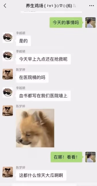 情殺案新進展!知情人曝男方賭球欠300萬,女方分手尋愛惹怒前任