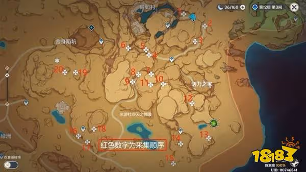 原神赤念果快速採集路線位置大全 80個赤念果採集路線圖分享