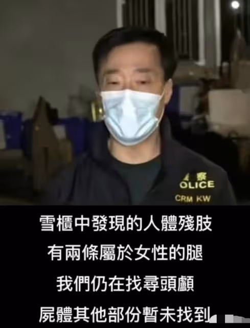 香港時尚圈模特、名媛蔡天鳳,慘遭前夫謀殺、碎屍!