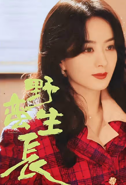 一代秦腔金皇后來了！張藝謀首部電視劇合作趙麗穎強強聯手創造收視神話