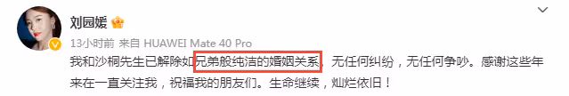 13年情逝!54歲央視名主持官宣與小12歲女星離婚,無性婚姻系主因