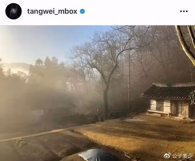 湯唯帶女兒北京吃披薩!如今身家過億,卻寧願去鄉下「當農民種地」?
