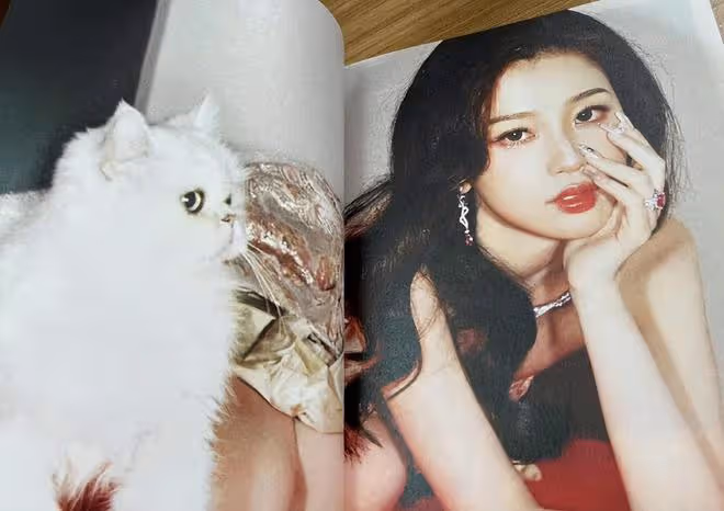 一天5個瓜!曝資深男演員征服4個女星,蔡徐坤被外網實錘抄襲