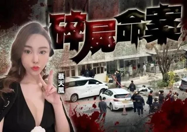 離譜！港媒曝蔡天鳳兩任丈夫是戀人關係，她只是被利用的工具人