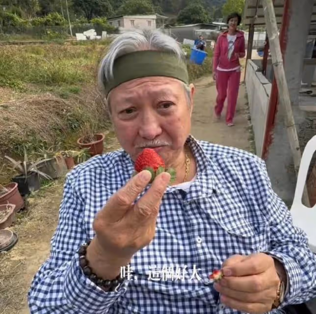 71歲洪金寶獲電影終身成就獎,激動發聲:電影的存在實在太美好