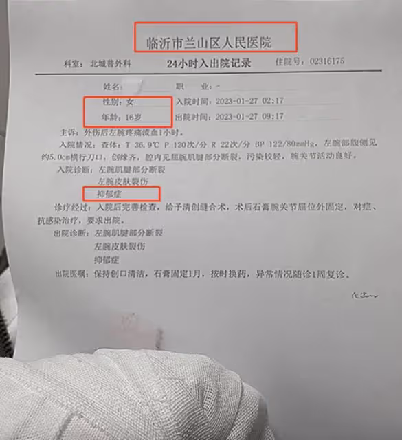 16歲網紅打人女孩身份被扒,拉架男孩慘被網暴,已向女方同伴道歉