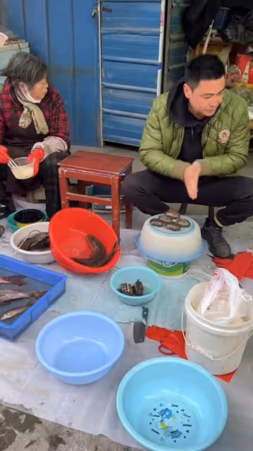 40歲演員無戲拍賣魚近一年！路邊擺地攤滿身污垢，稱喜歡現在生活