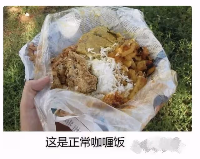 蔡天鳳案新進展:130名警力翻千噸垃圾,已找到部分殘骸待化驗