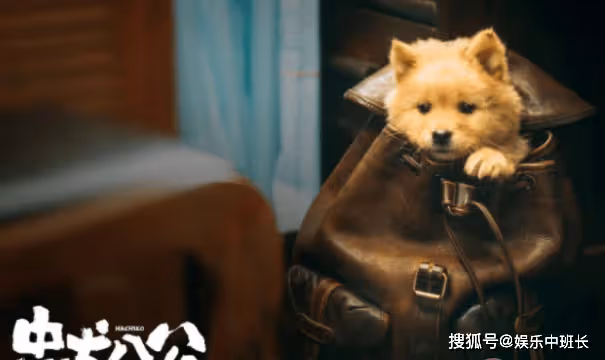 電影《忠犬八公》定檔什麼時候上映？《忠犬八公》講的是什麼故事