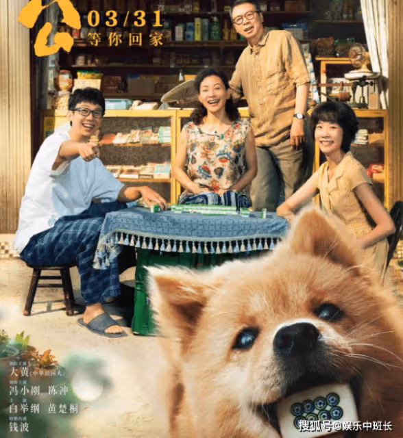 電影《忠犬八公》定檔什麼時候上映？《忠犬八公》講的是什麼故事