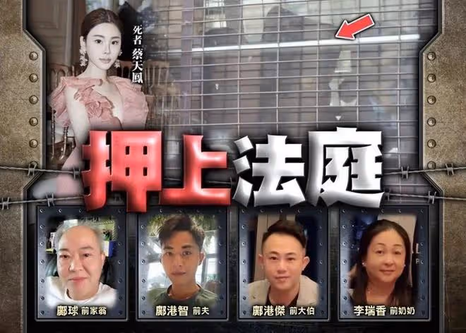 蔡天鳳案最新進展：3天搜索結束，港媒爆落網男子曾是鄭中基助手