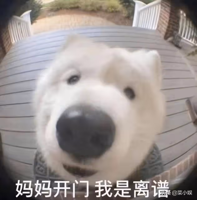 台版101選秀太尷尬，成員顏值堪憂，被嘲是Tony老師大型聚會現場
