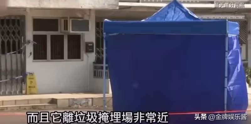 蔡天鳳七年時間,給了前夫上億元,男方一家的生活極其奢侈