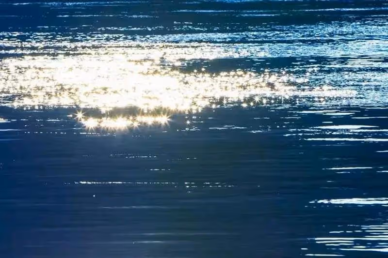 農民釣魚撿到金牌,鑒定時卻被要求「無償上交」,他一怒之下融成金手鐲,結局卻慘了