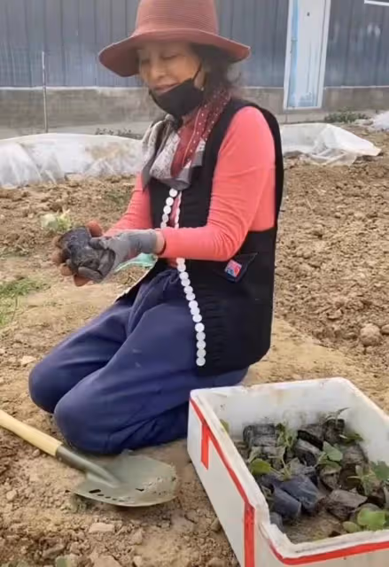 59歲李勤勤老年生活太拮据,干吃饅頭配生菜,大口咀嚼被噎引熱議