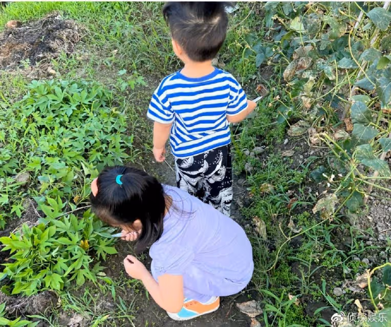 朱丹曬與二胎兒子合照,二寶首露正臉顏值高,和爸爸周一圍長超像