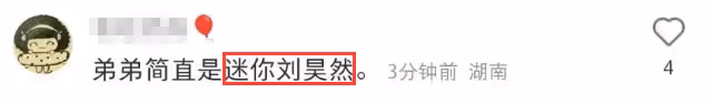 黃磊一家出門踏春,多妹顏值逆襲趕超姐姐,彼得潘似迷你版劉昊然