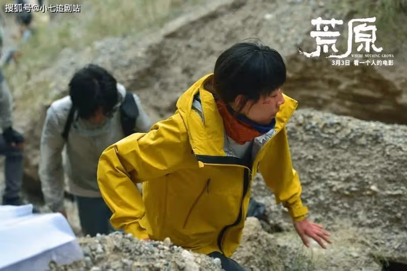上映4天票房僅161萬,任素汐、李晨都救不回的小眾電影