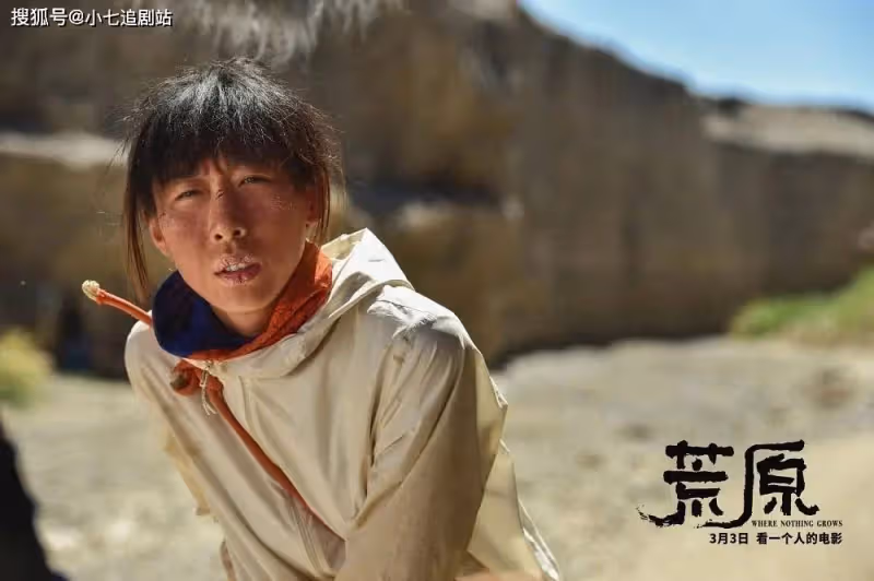 上映4天票房僅161萬,任素汐、李晨都救不回的小眾電影