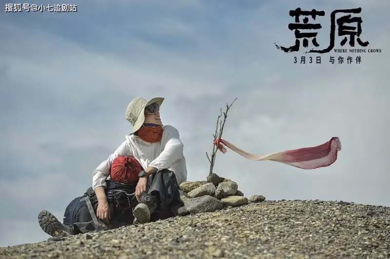 上映4天票房僅161萬，任素汐、李晨都救不回的小眾電影