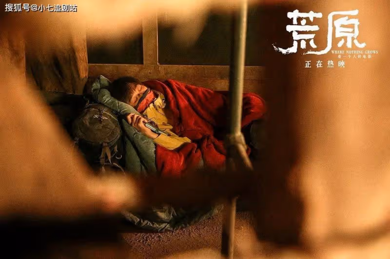 上映4天票房僅161萬，任素汐、李晨都救不回的小眾電影