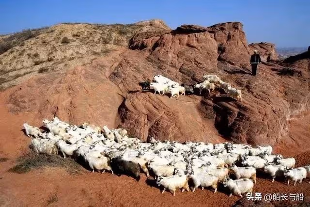 岳父住女婿家5年,老家拆遷得120萬全給親兒子,岳父解釋:為你好
