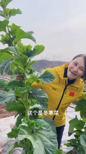 跳水皇后高敏回農村!拿鋤頭種地當街砍甘蔗,素顏凍齡大長腿吸睛