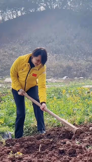 跳水皇后高敏回農村!拿鋤頭種地當街砍甘蔗,素顏凍齡大長腿吸睛