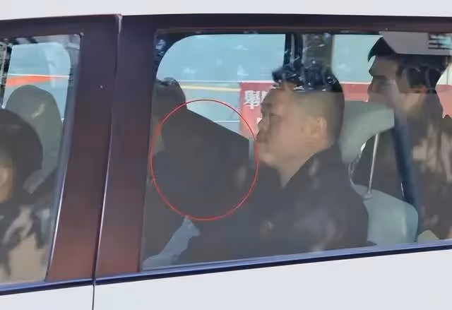 蔡天鳳母親加入爭產大戰?被質疑是假富豪,和女婿舉止親昵惹非議